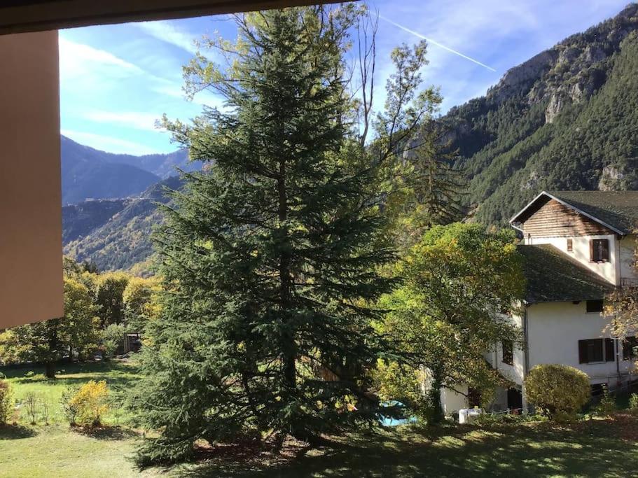 Appartement Avec Terrasse Et Garage Ferme